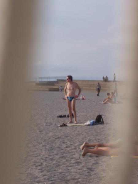 Quelques specimens rencontr&eacute;s au hasard de nos promenades...