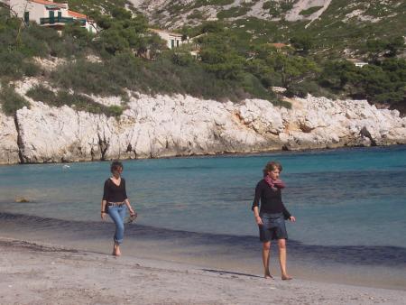 2 flamands roses sur la plage