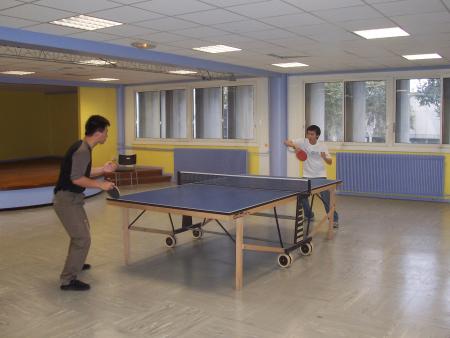 tournoi de ping pong organis&eacute; par fabrice